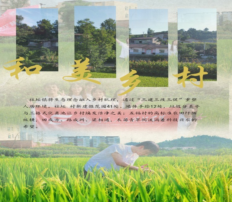 图片13.png